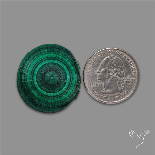 Rare Malachite Stalactite with Chattoyancy Slice