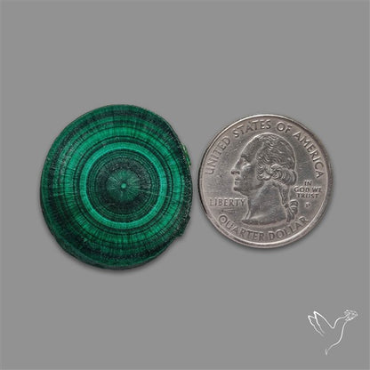 Rare Malachite Stalactite with Chattoyancy Slice