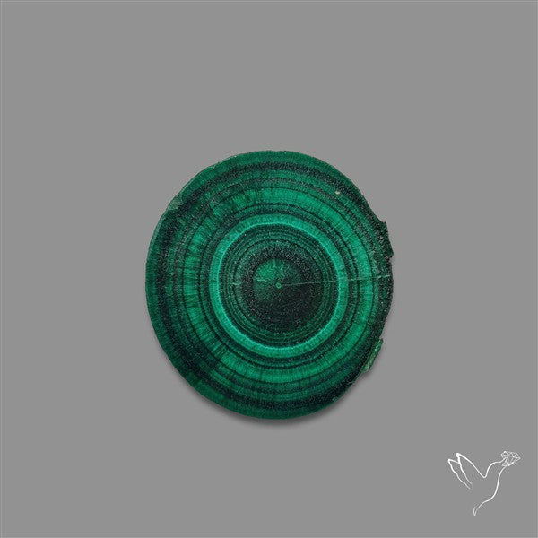 Rare Malachite Stalactite with Chattoyancy Slice