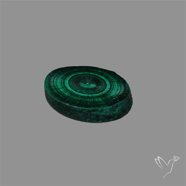 Rare Malachite Stalactite with Chattoyancy Slice