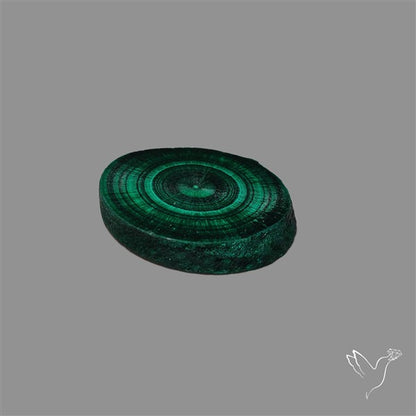 Rare Malachite Stalactite with Chattoyancy Slice