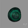 Rare Malachite Stalactite with Chattoyancy Slice