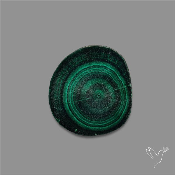 Rare Malachite Stalactite with Chattoyancy Slice