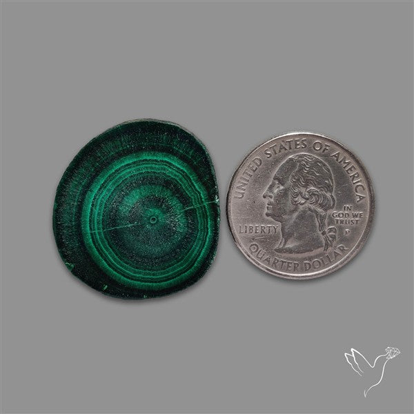 Rare Malachite Stalactite with Chattoyancy Slice