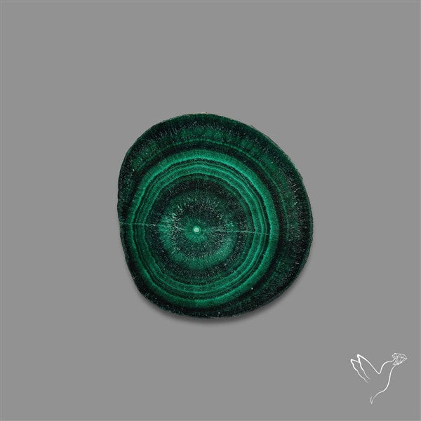 Rare Malachite Stalactite with Chattoyancy Slice