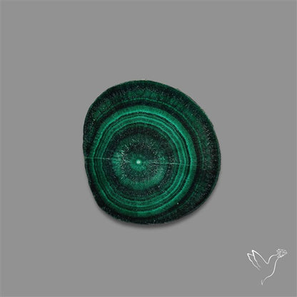Rare Malachite Stalactite with Chattoyancy Slice