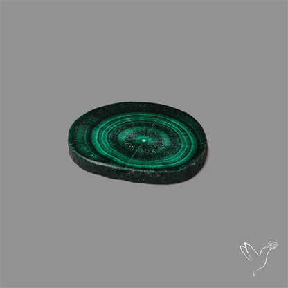 Rare Malachite Stalactite with Chattoyancy Slice
