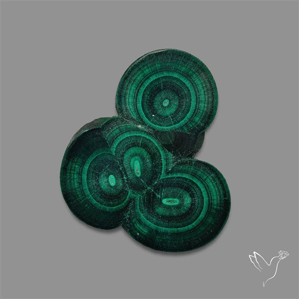 Rare Malachite Stalactite with Chattoyancy Slice