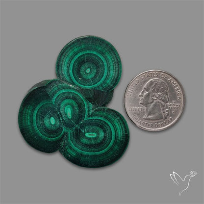 Rare Malachite Stalactite with Chattoyancy Slice