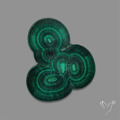 Rare Malachite Stalactite with Chattoyancy Slice