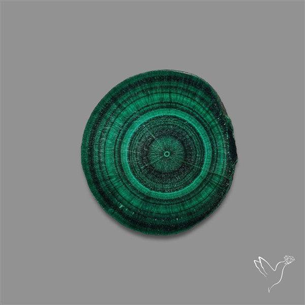 Rare Malachite Stalactite with Chattoyancy Slice