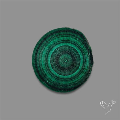 Rare Malachite Stalactite with Chattoyancy Slice
