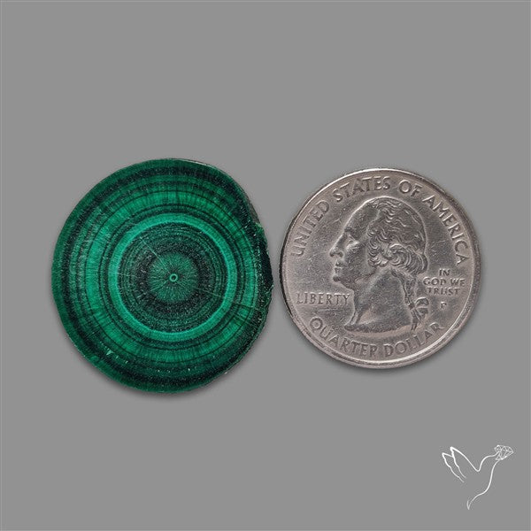 Rare Malachite Stalactite with Chattoyancy Slice