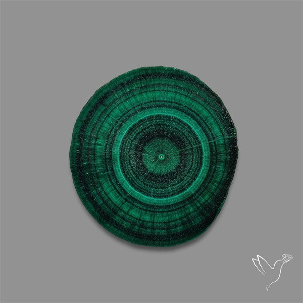 Rare Malachite Stalactite with Chattoyancy Slice