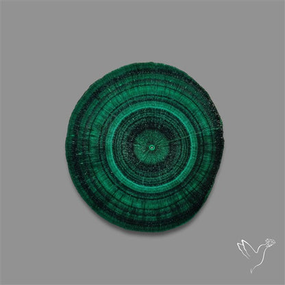 Rare Malachite Stalactite with Chattoyancy Slice
