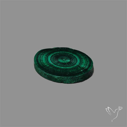 Rare Malachite Stalactite with Chattoyancy Slice