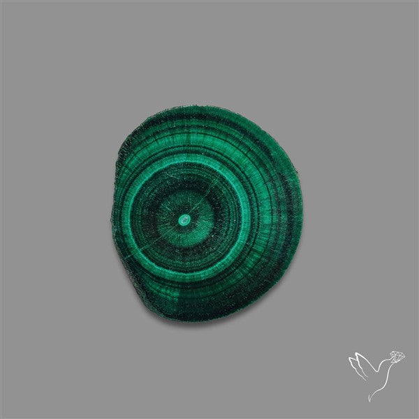 Rare Malachite Stalactite with Chattoyancy Slice