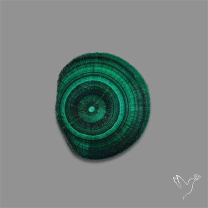 Rare Malachite Stalactite with Chattoyancy Slice