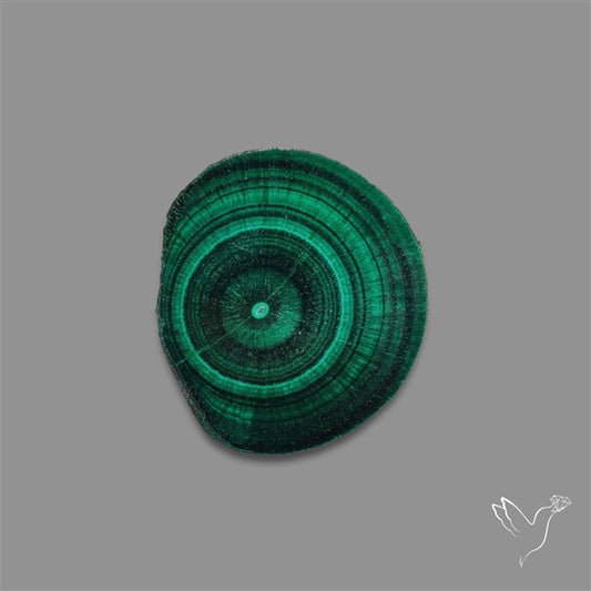 Rare Malachite Stalactite with Chattoyancy Slice