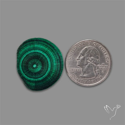 Rare Malachite Stalactite with Chattoyancy Slice