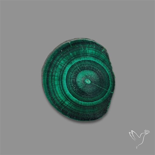 Rare Malachite Stalactite with Chattoyancy Slice