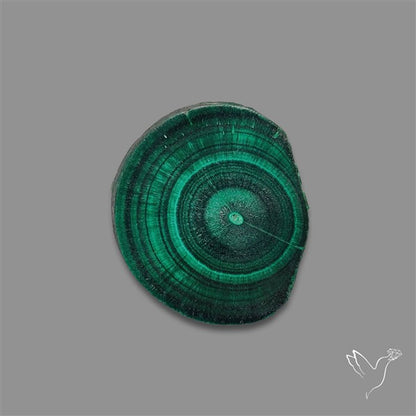 Rare Malachite Stalactite with Chattoyancy Slice
