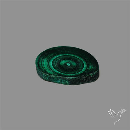 Rare Malachite Stalactite with Chattoyancy Slice