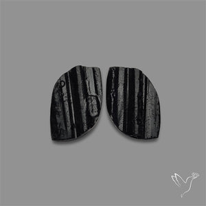 Raw Face Black Tourmaline Pair