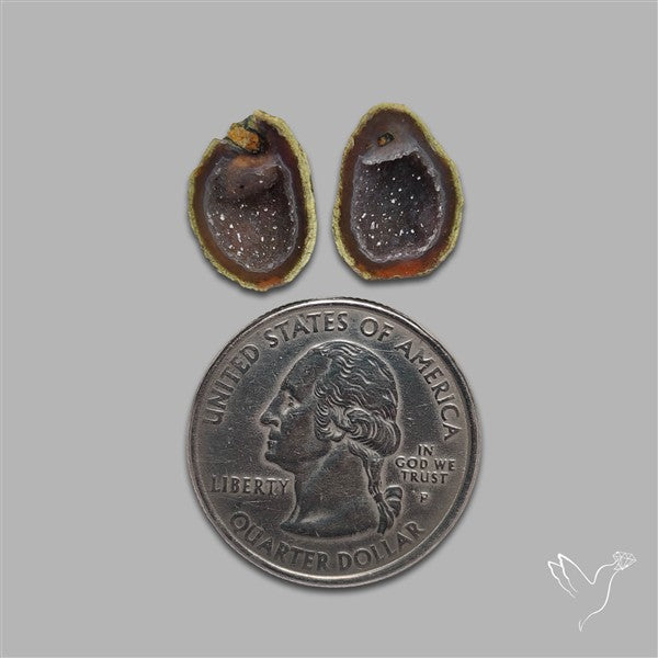 Geode Druzy Pair