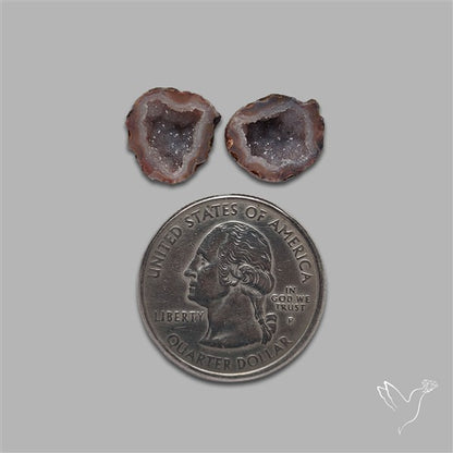 Geode Druzy Pair