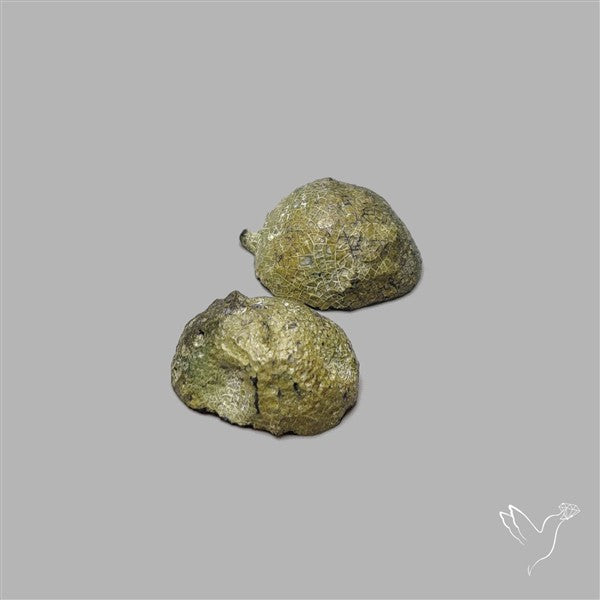 Geode Druzy Pair