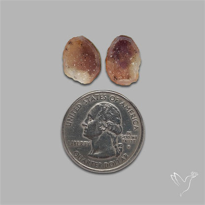 Geode Druzy Pair