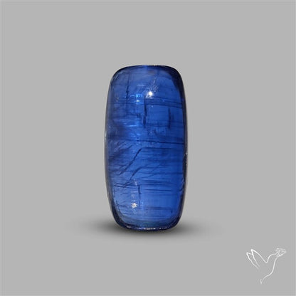 Blue Kyanite Cabochon
