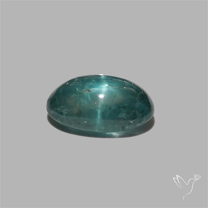 Paraiba Blue Kyanite Cabochon