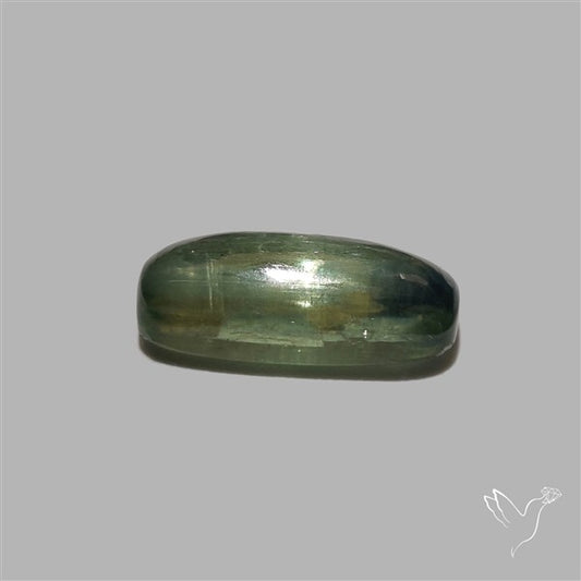 Green Kyanite Cabochon