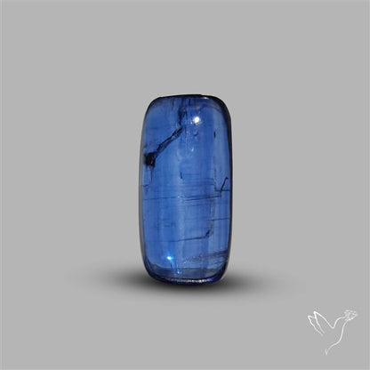 Blue Kyanite Cabochon