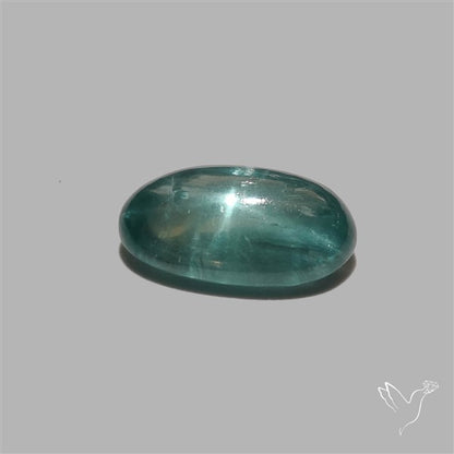 Paraiba Blue Kyanite Cabochon