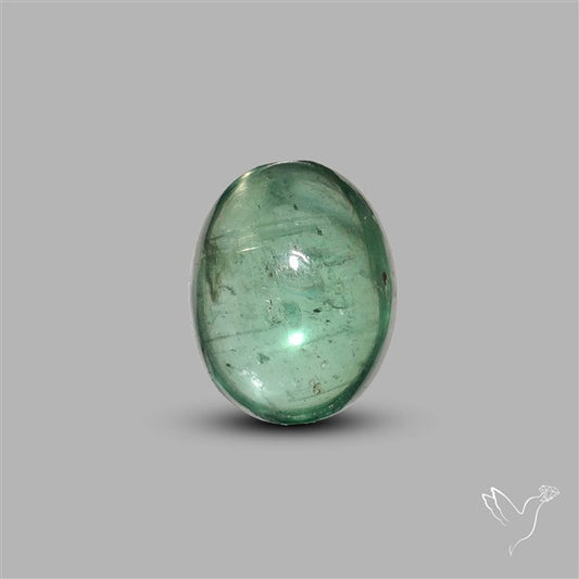 Green Kyanite Cabochon