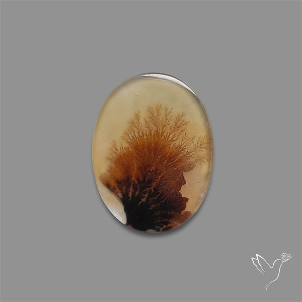 Scenic Agate Cabochon
