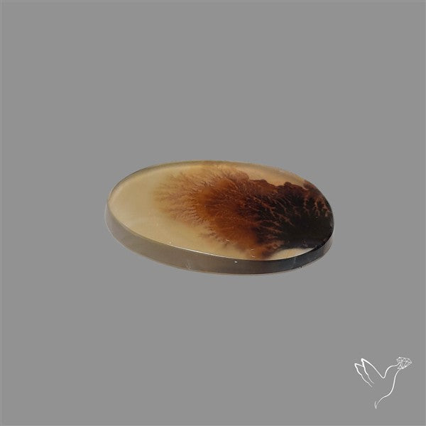Scenic Agate Cabochon