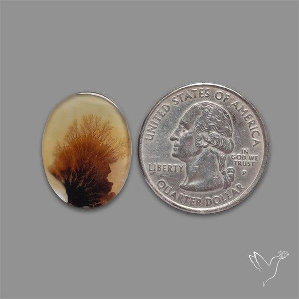 Scenic Agate Cabochon