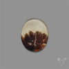 Scenic Agate Cabochon