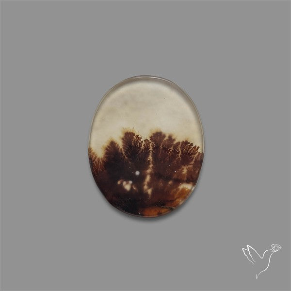 Scenic Agate Cabochon