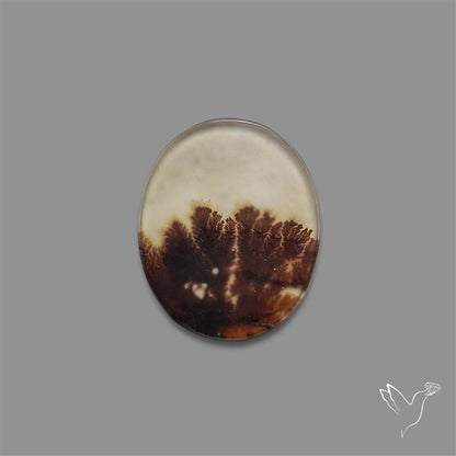 Scenic Agate Cabochon
