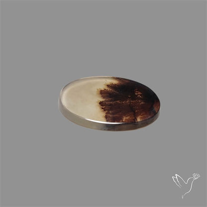 Scenic Agate Cabochon