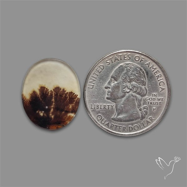 Scenic Agate Cabochon