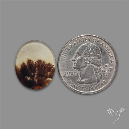 Scenic Agate Cabochon