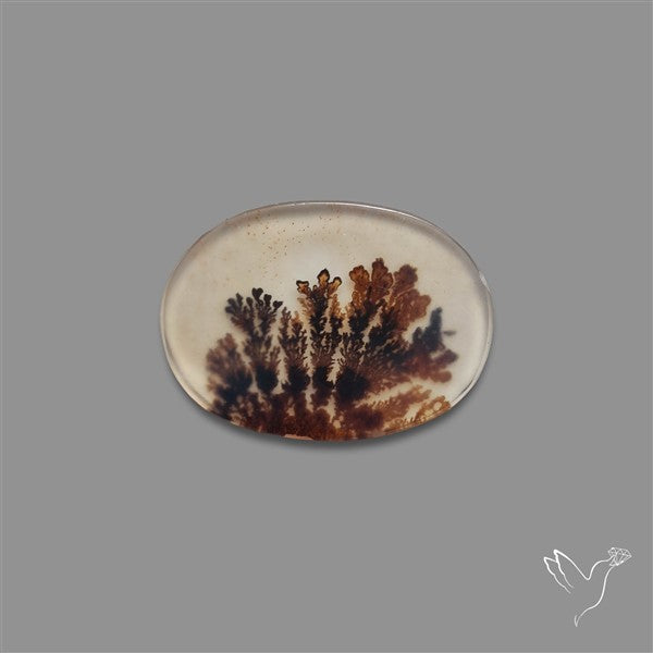 Scenic Agate Cabochon