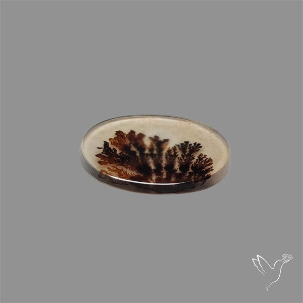 Scenic Agate Cabochon