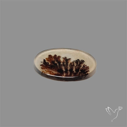 Scenic Agate Cabochon